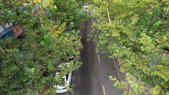 街景城市道路航拍花朵