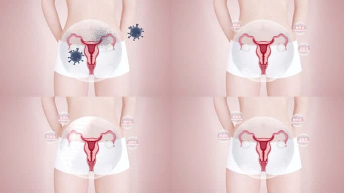 女人子宫健康模板
