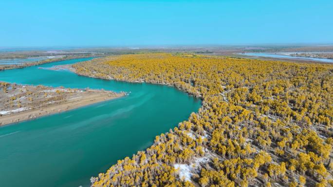 4k航拍新疆沙雅县塔里木河原始胡杨林