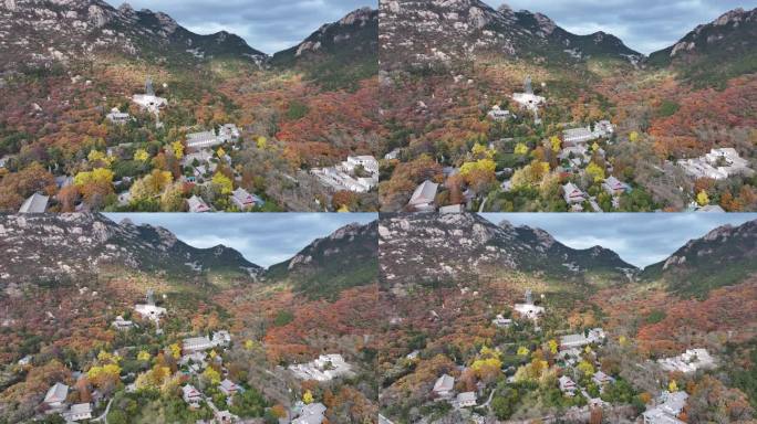 航拍视角青岛崂山太清宫秋景