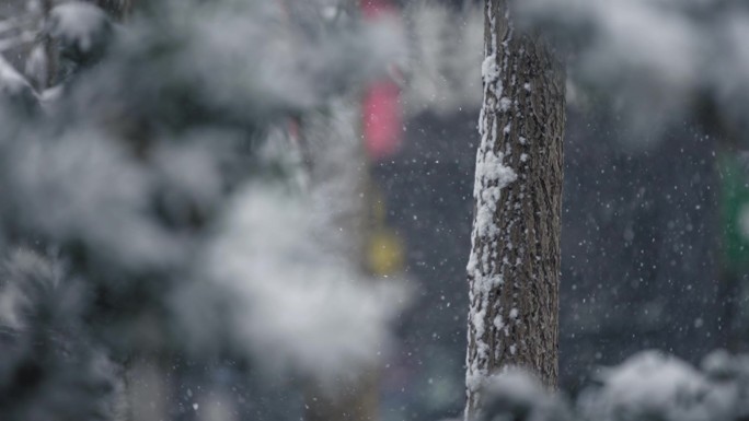 冬天下雪雪景慢动作唯美高速镜头