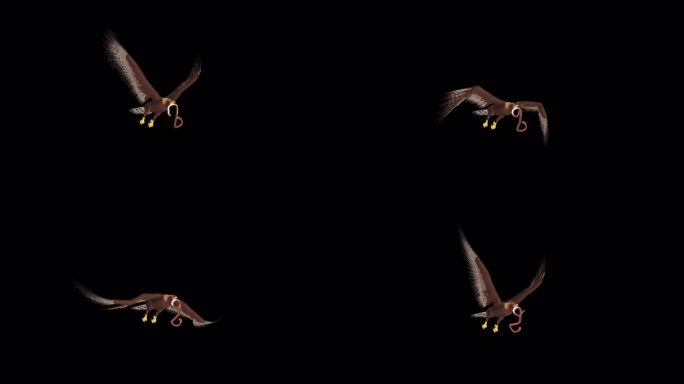 金鹰与蛇-飞行环-侧面角度的看法-阿尔法频道