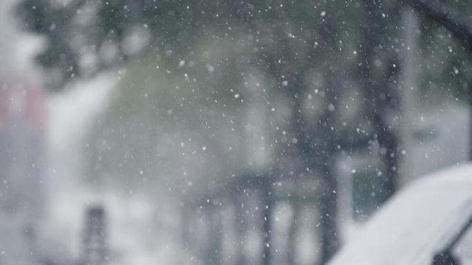 冬天下雪雪景慢动作唯美高速镜头