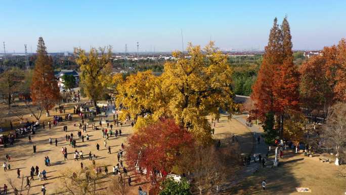 航拍南京古惠济寺