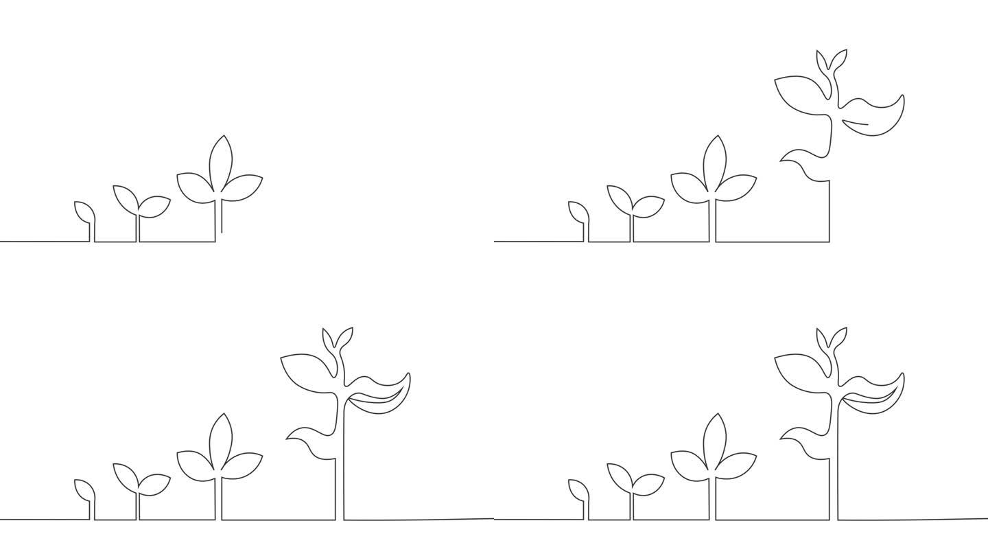 生长概念与植物生长动画单线绘制在白色背景。发展和成长创意