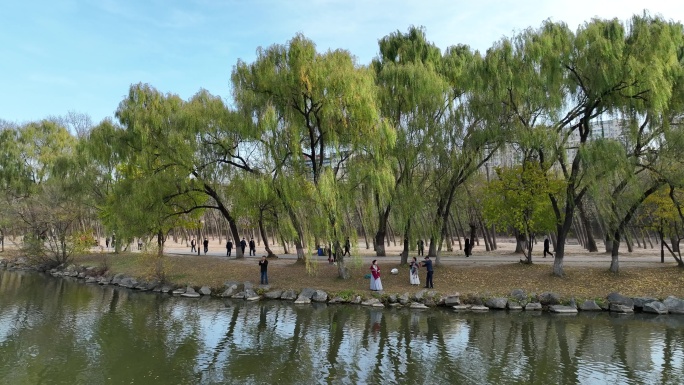 航拍鞍山市二一九公园秋季风景