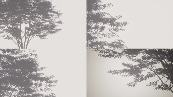 4K树影白墙光影唯美空镜