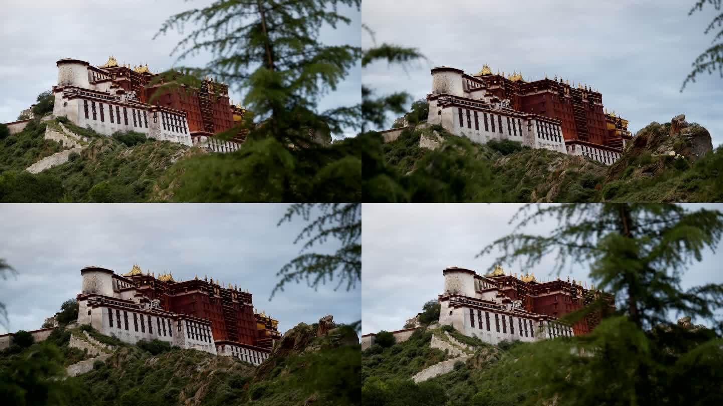 布达拉宫树木云层石头山脉