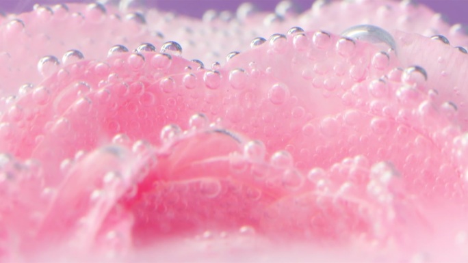 精致的玫瑰花瓣和泡泡的特写。资料片。粉红色的玫瑰花瓣泡在水里。水里有很多气泡