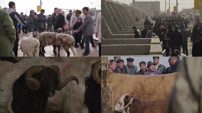 新疆牛羊活畜交易市场