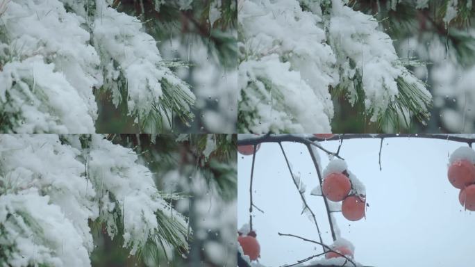 雨滴屏幕AE工程