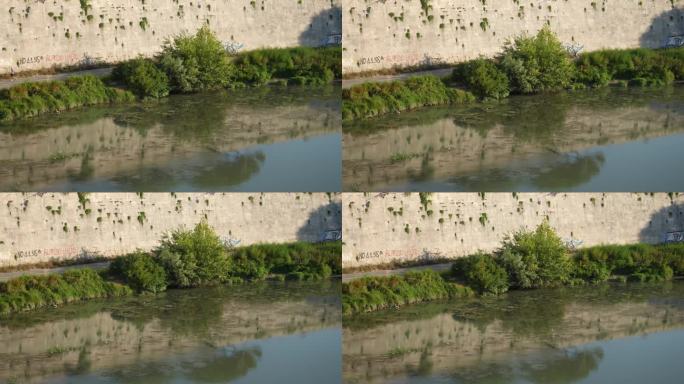 远观意大利的台伯河流经罗马，在砖墙前筑起了河堤，河堤变浅，杂草丛生