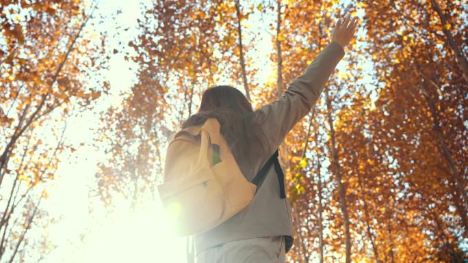 秋天的树林里，女人举起双手