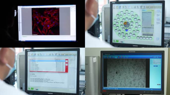 医学实验工作人员观察中画面