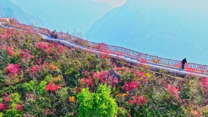 航拍巫峡红叶