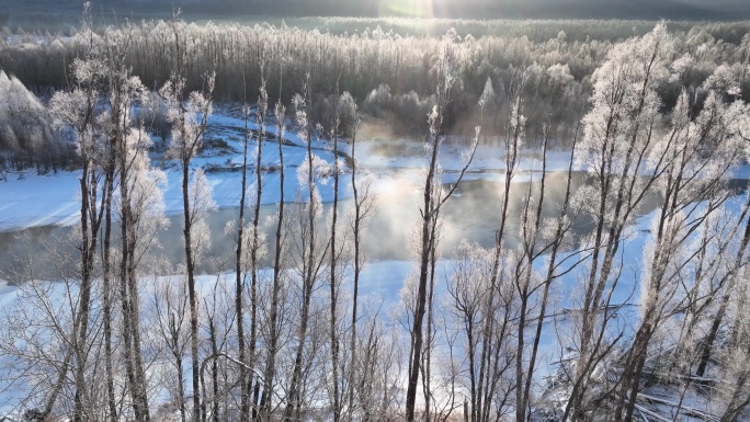 航拍林海雪原冰河冻雾朝阳