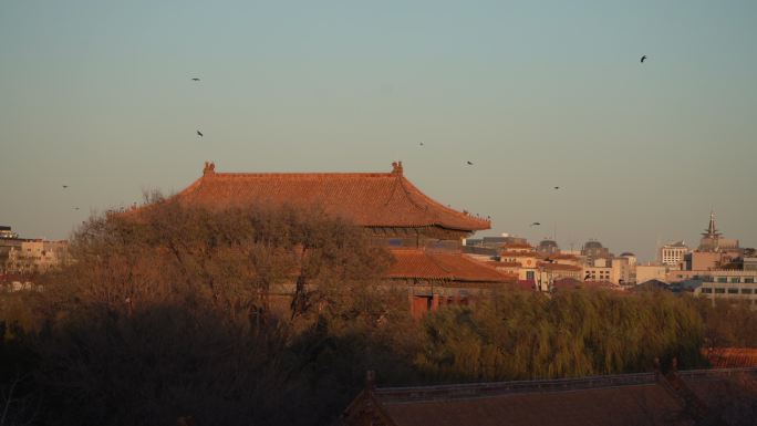 北京的黄昏 故宫起风了 苍凉夕阳 CBD
