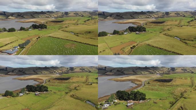 鸟瞰新西兰南岛风景优美的乡村牧羊场。