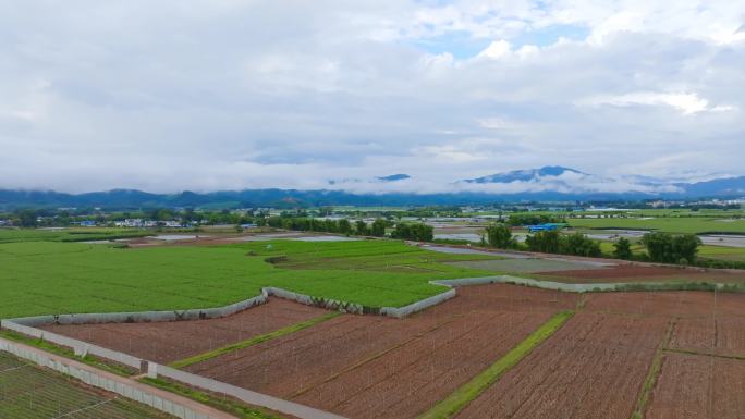 清晨上午云雾缭绕的山峰下农村乡下田地航拍