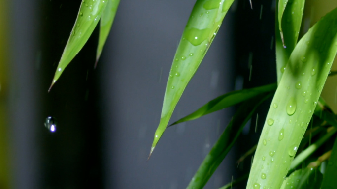 古代园林雨天自然流水