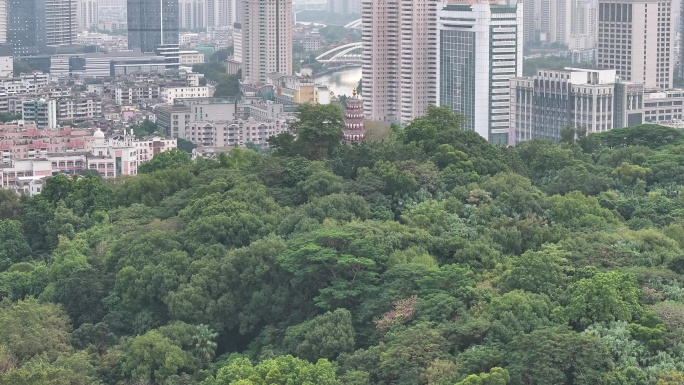 烟墩山塔 广东中山市