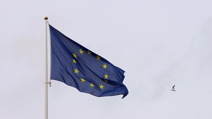 鸟儿在欧盟(EU)旗帜下随风缓慢飞行