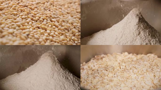 青稞 加工 麦片 谷物 磨粉