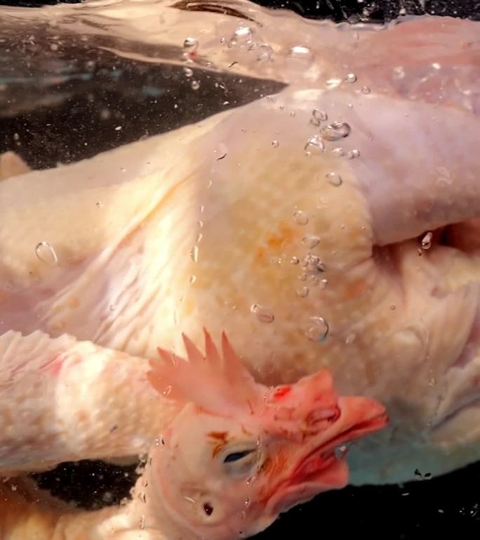 鸡放入水里镜头（放入锅里）