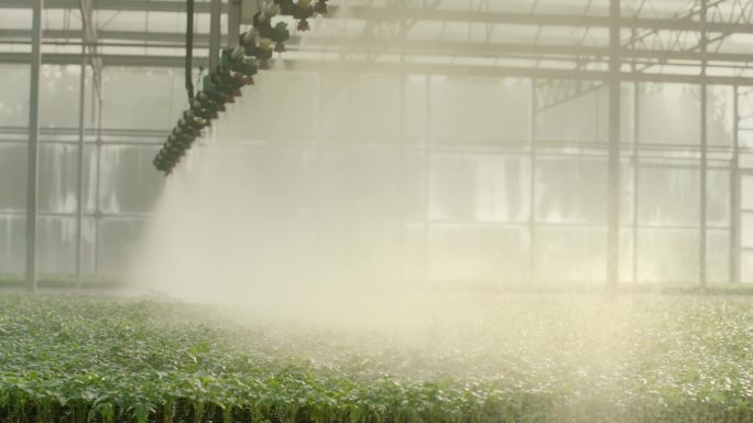 蔬菜 大棚 自动化大棚 喷淋 智慧农业