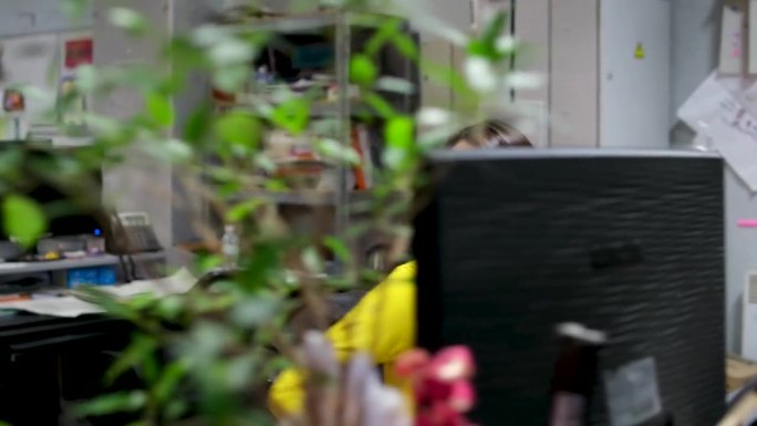 办公室工作女人黑发架子上有文件夹纸卡片名字快乐在笔记本电脑附近许多电脑显示器花盆照相机绕着办公室里的