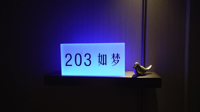 203如梦