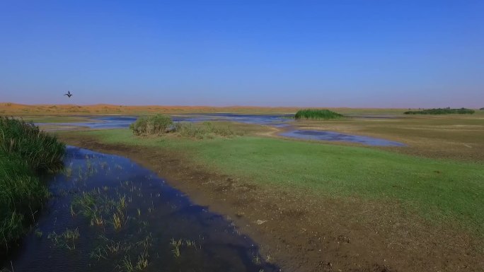 沙漠湖泊