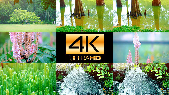大自然清新宜人绿色环保花卉瀑布合集4K