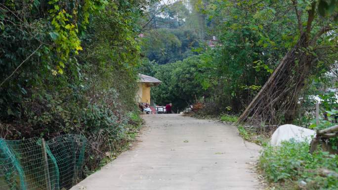 农村水泥路