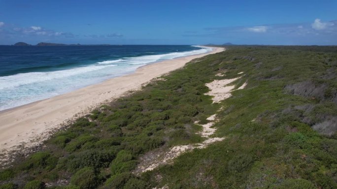 澳大利亚新南威尔士州芒戈海滩沙丘附近郁郁葱葱的绿色植被。
