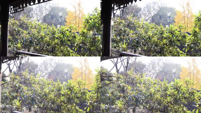 苏州园林中式园林 花窗走廊屋檐光影