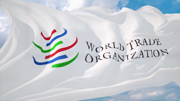 世贸组织旗帜 WTO 特写素材