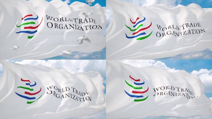 世贸组织旗帜 WTO 特写素材