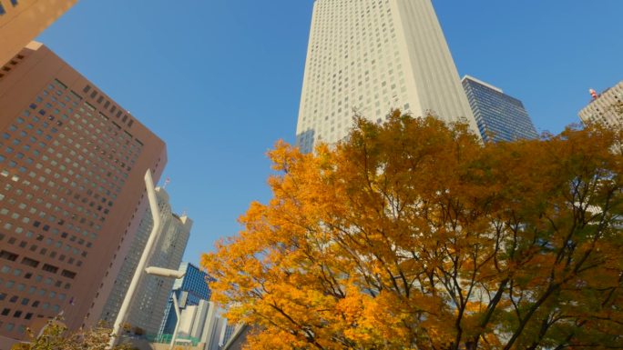 西新宿的摩天大楼有美丽的阳光