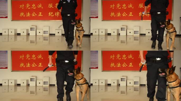 警犬的查缉毒品训练