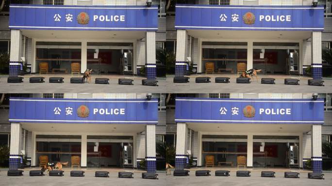 警犬的查缉毒品训练