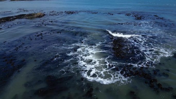 空中无人机英国海岸线。从上方拍摄。鸟瞰海带、海草、海岸、海岸线和海浪。东北英格兰马斯登桑德兰纽卡斯尔