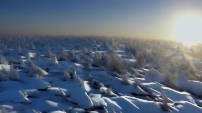 冬日阳光下的雪景