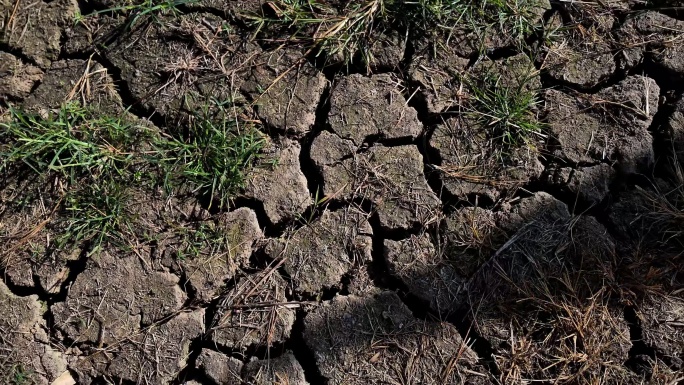 干旱 缺水 裂开 干裂 干涸 干裂土地