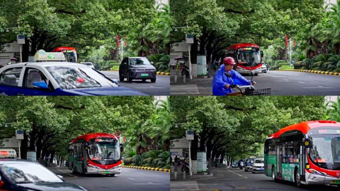 市区绿化道路车流