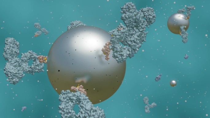 抗体共轭磁性纳米颗粒的动画