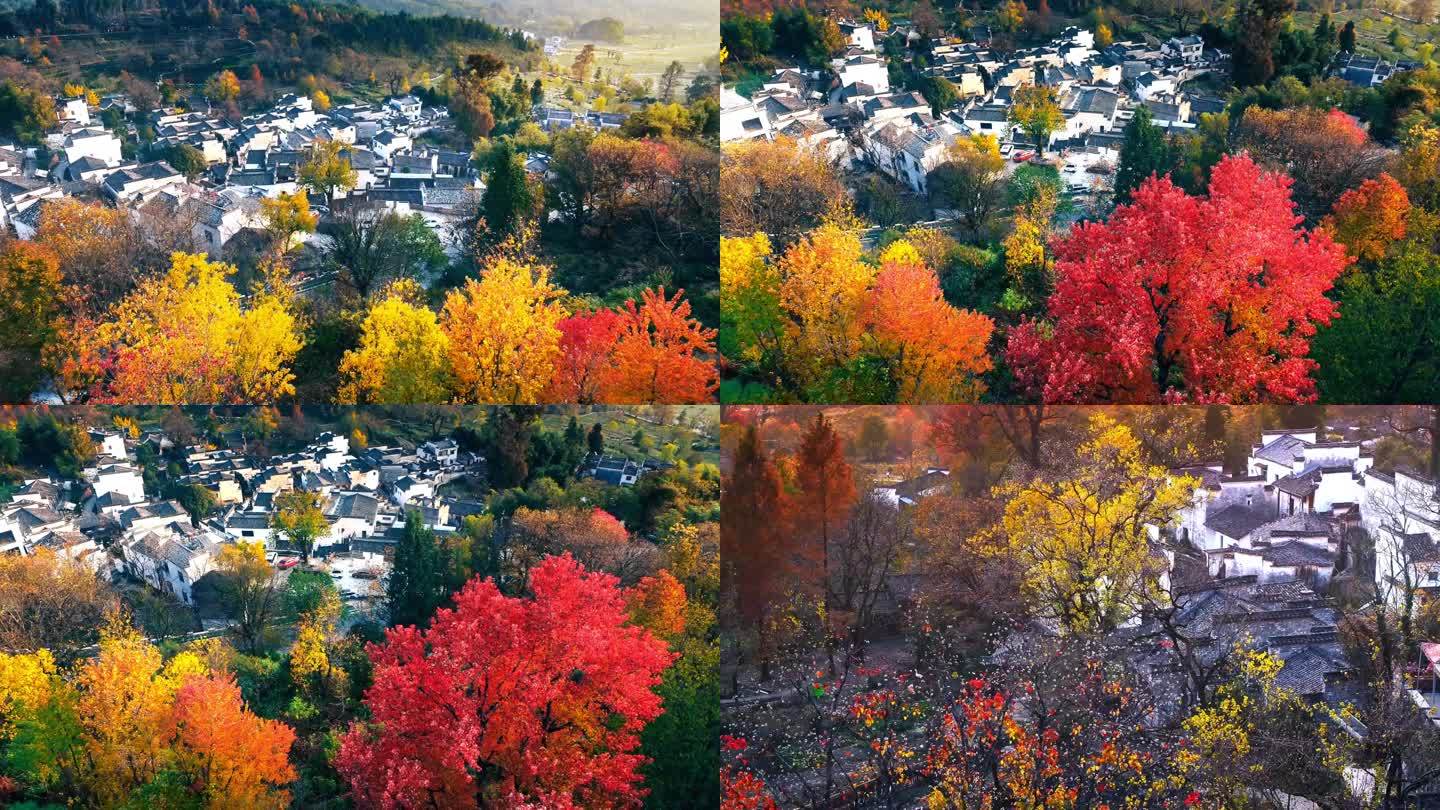 4k塔川秋色，赏秋圣地