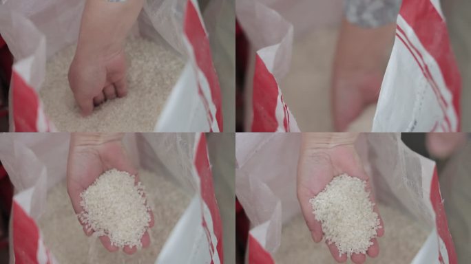粮食 米面 大米