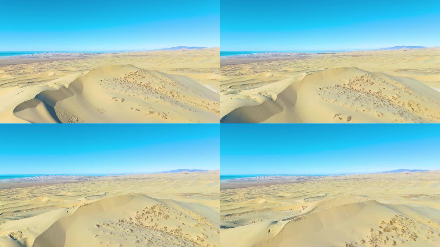 沙漠6