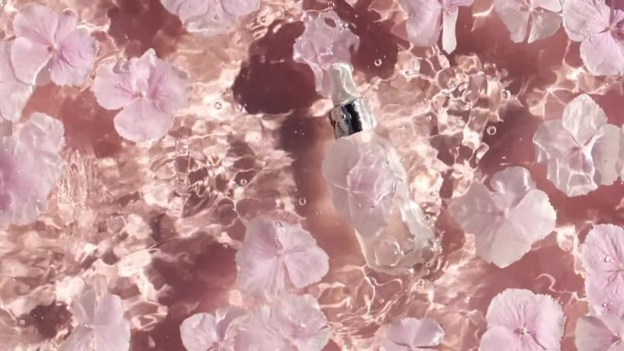化妆品瓶，小瓶油，液体，胶原蛋白血清落在水和飞溅在粉红色的背景。缓慢的运动。女性化妆品护肤品。美容产